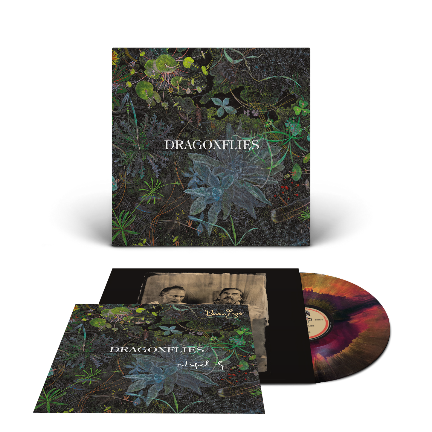 Dragonflies – Online Store Exclusive Red, Gold, Black - Opal Nebula 1LP Vinyl