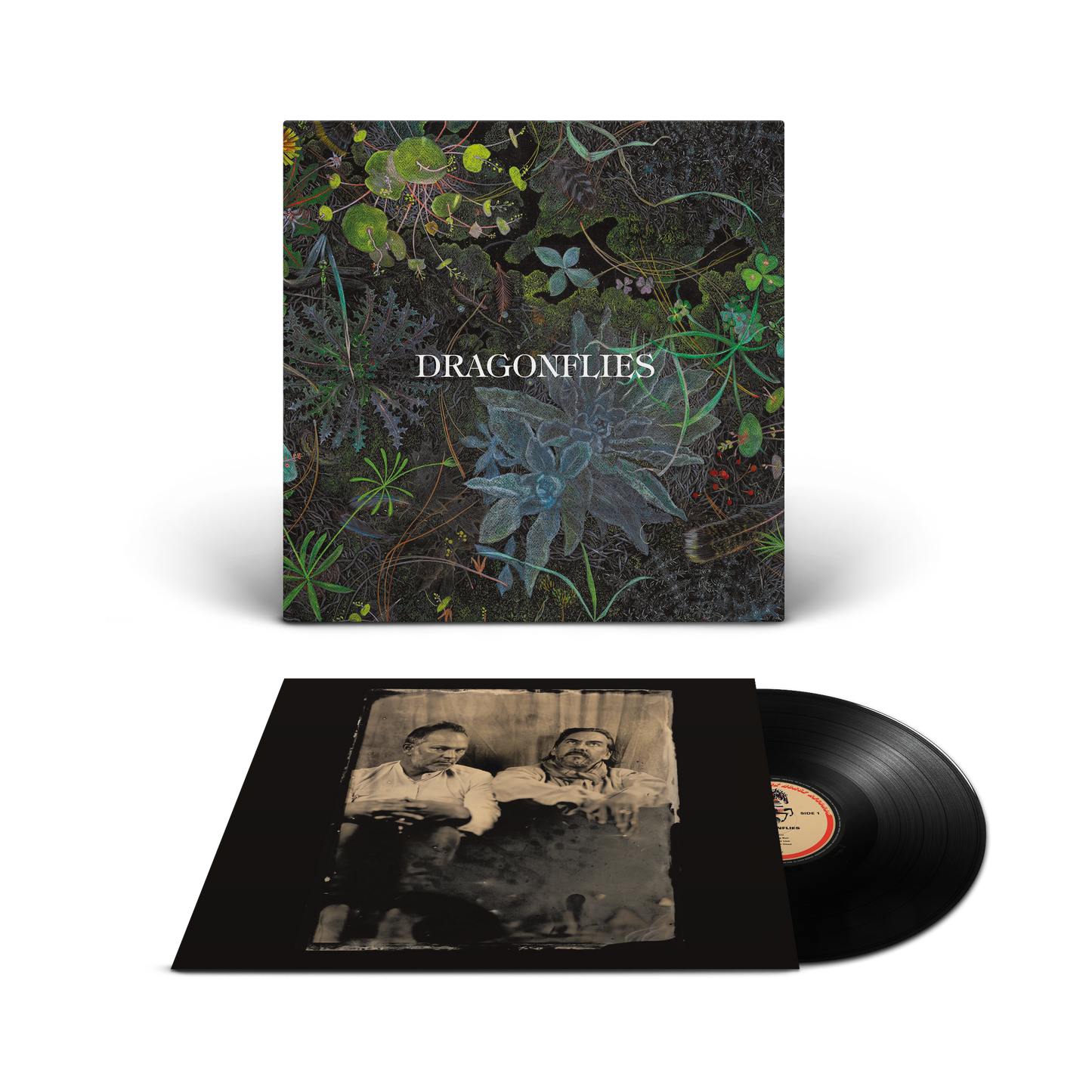 Dragonflies – Standard 1LP Vinyl