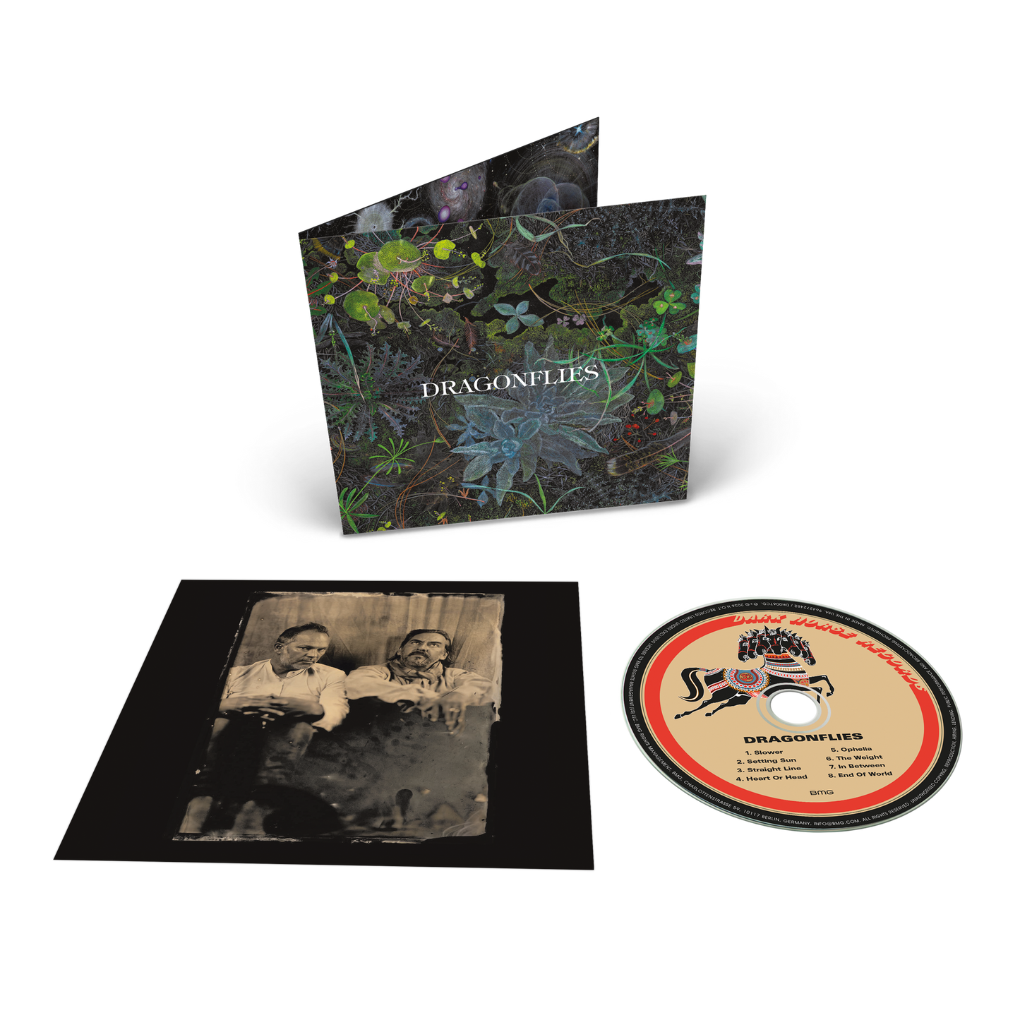 Dragonflies – CD