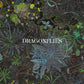 Dragonflies – Online Exclusive Purple 1LP Vinyl