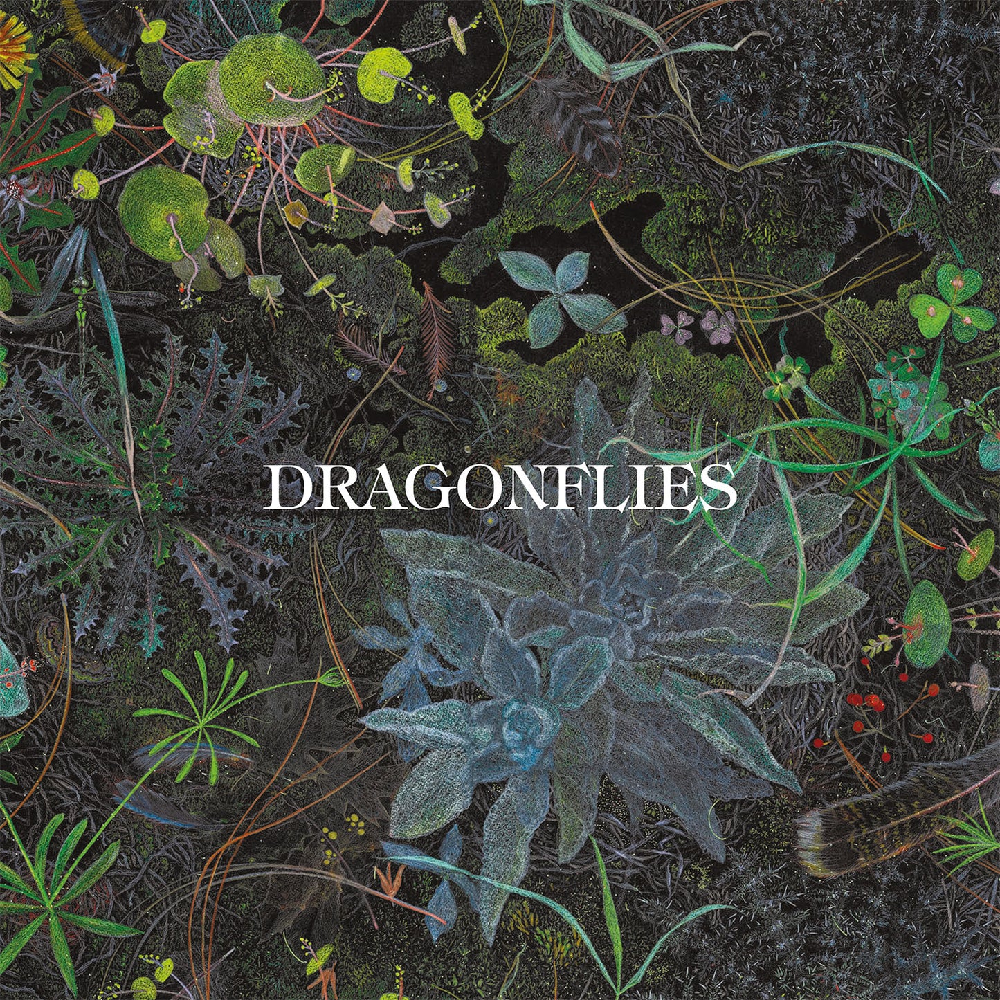 Dragonflies – Online Exclusive Purple 1LP Vinyl